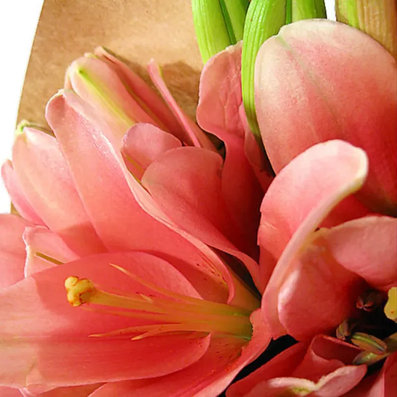 Букет Малиновый крем